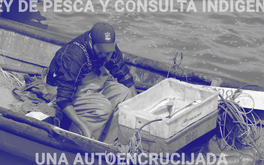 Ley de Pesca y consulta indígena: una autoencrucijada